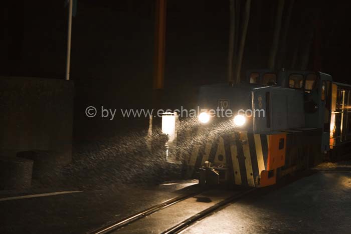 20061204stebarbedhoil054