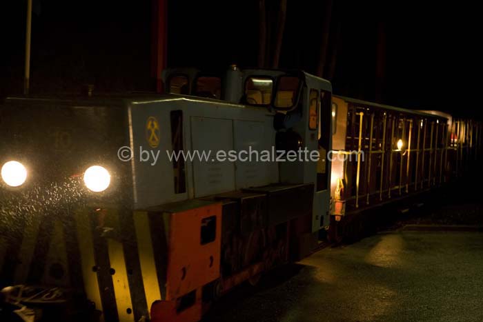 20061204stebarbedhoil055