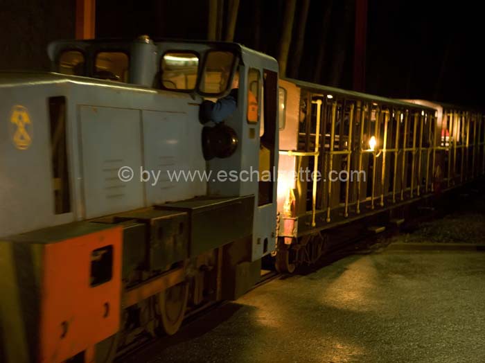 20061204stebarbedhoil056