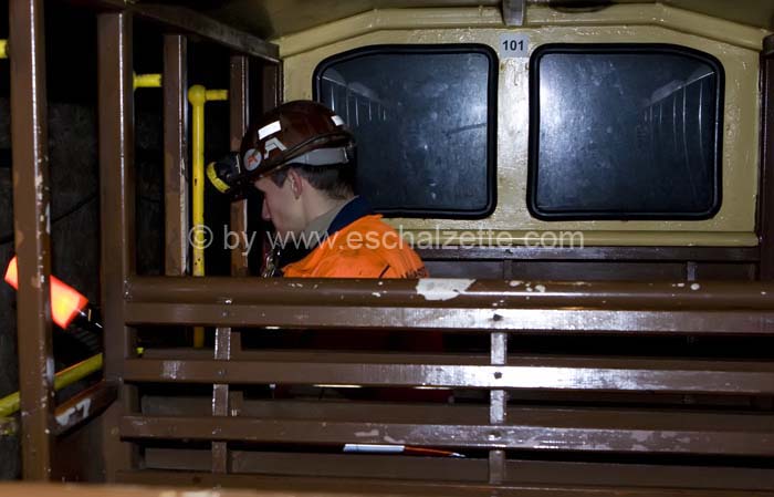 20061204stebarbedhoil059