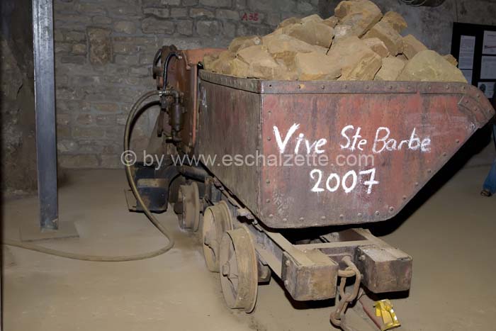 20061204stebarbedhoil060