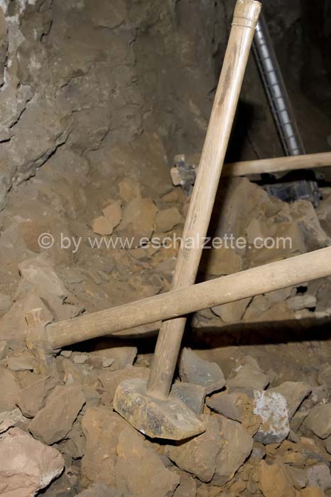 20061204stebarbedhoil074