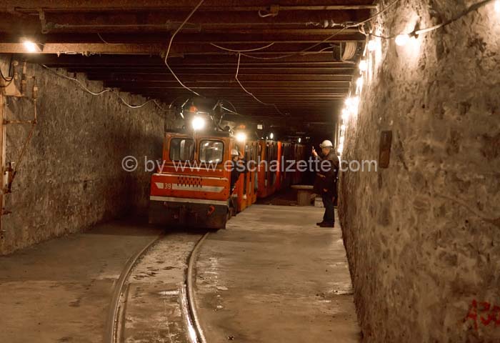 20061204stebarbedhoil076