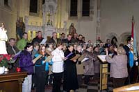 20061204stebarbedhoil046