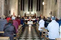 20061204stebarbedhoil049