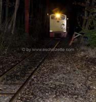 20061204stebarbedhoil050