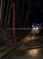 20061204stebarbedhoil053