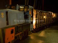 20061204stebarbedhoil056