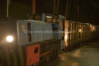 20061204stebarbedhoil057