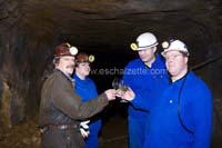 20061204stebarbedhoil073