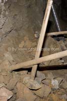 20061204stebarbedhoil074