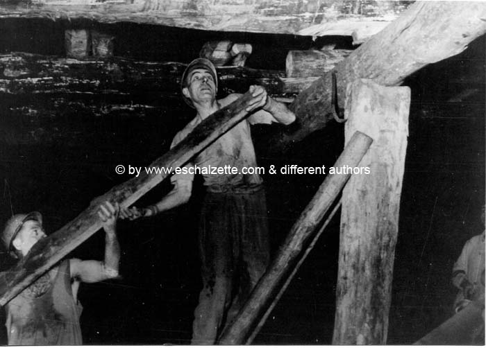 boisage 1966 tito + pinsch