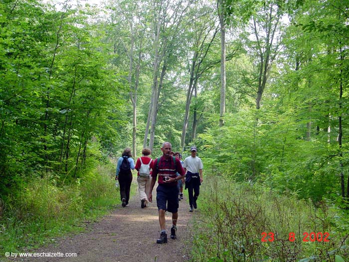 Auf dem Heinzenberg 07