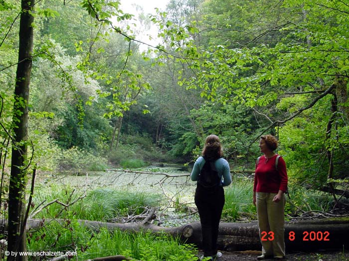 Auf dem Heinzenberg 09