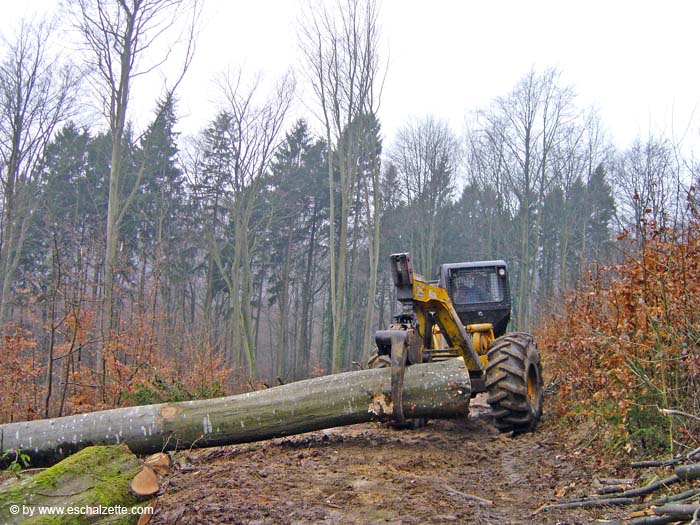 Auf dem Heinzenberg 2004 02 001