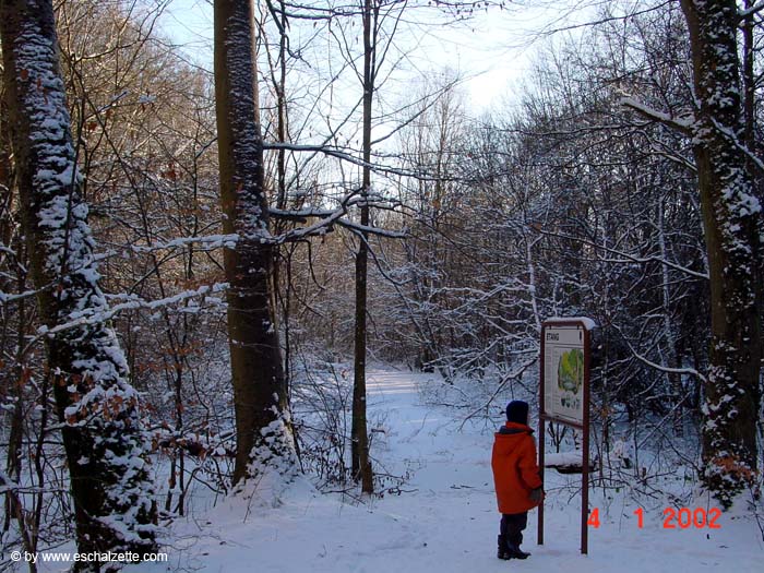 Auf dem Heinzenberg Weiher 01