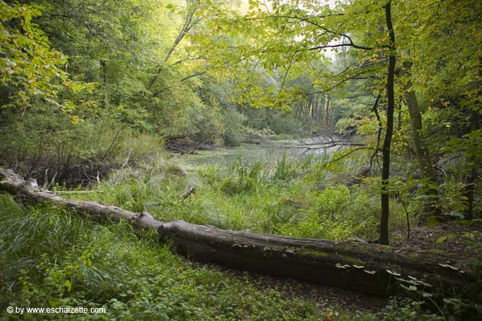 aufdemheinzenberg200510001