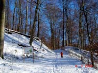 Auf dem Heinzenberg 04