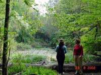 Auf dem Heinzenberg 09