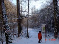 Auf dem Heinzenberg Weiher 01