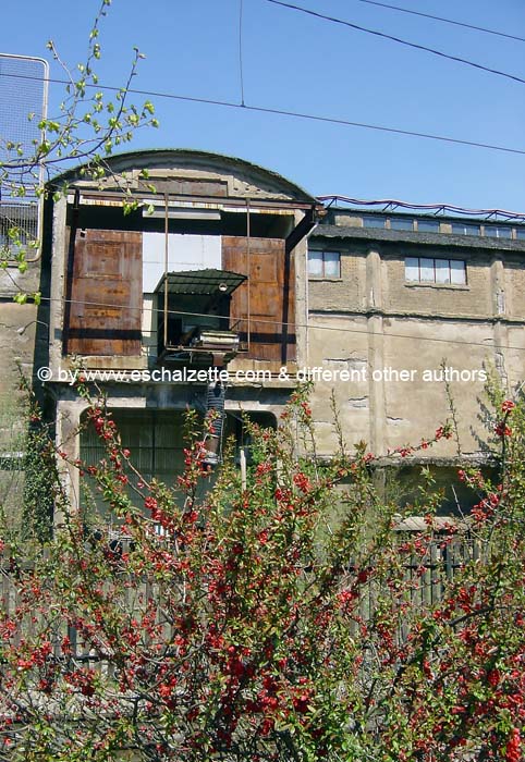 Terres Rouges 2004 04 012