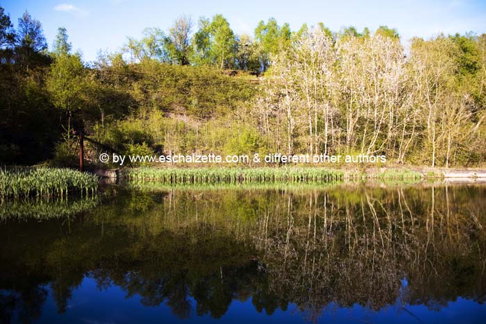 pointdevuefr20070400 (31)