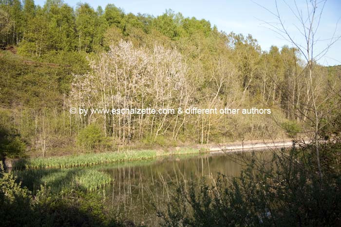 pointdevuefr20070400 (35)