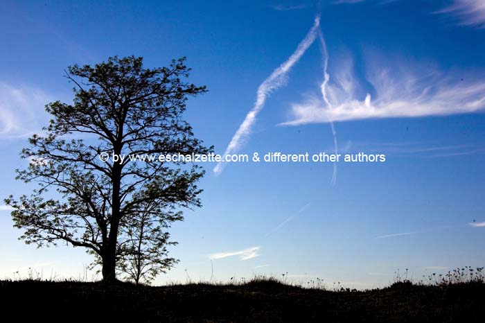 pointdevuefr20070400 (55)