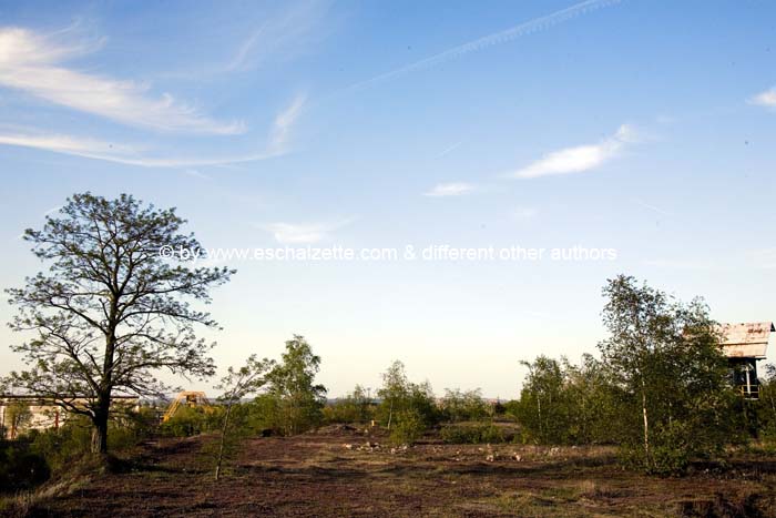 pointdevuefr20070400 (57)