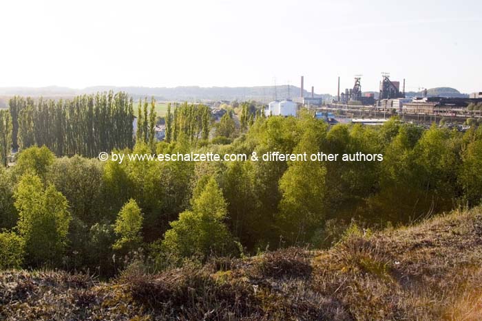 pointdevuefr20070400 (58)