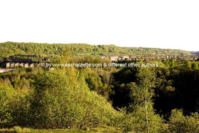 pointdevuefr20070400 (59)