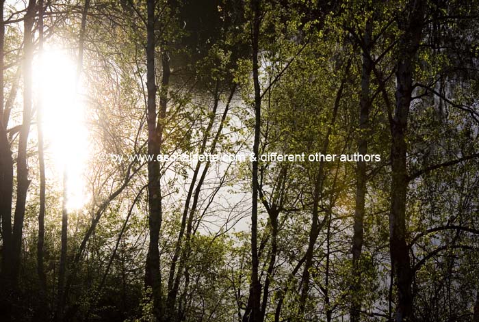 pointdevuefr20070400 (66)