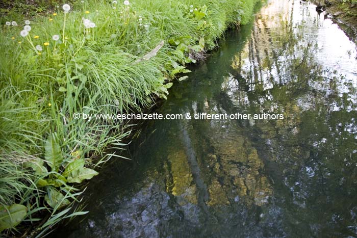 pointdevuefr20070400 (83)