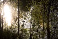 pointdevuefr20070400 (66)