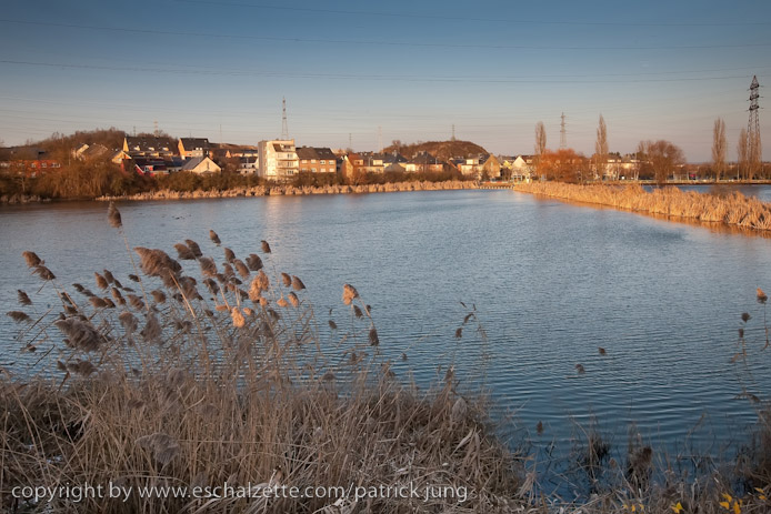 20081227arcelor_mittal_etang006