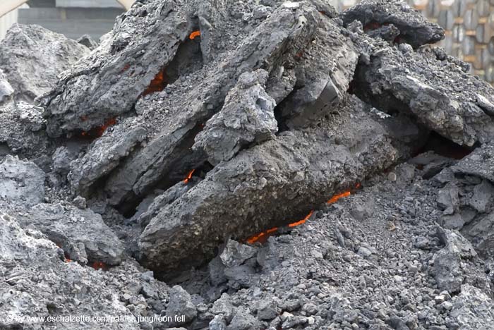 20080808visitearcelormittal039