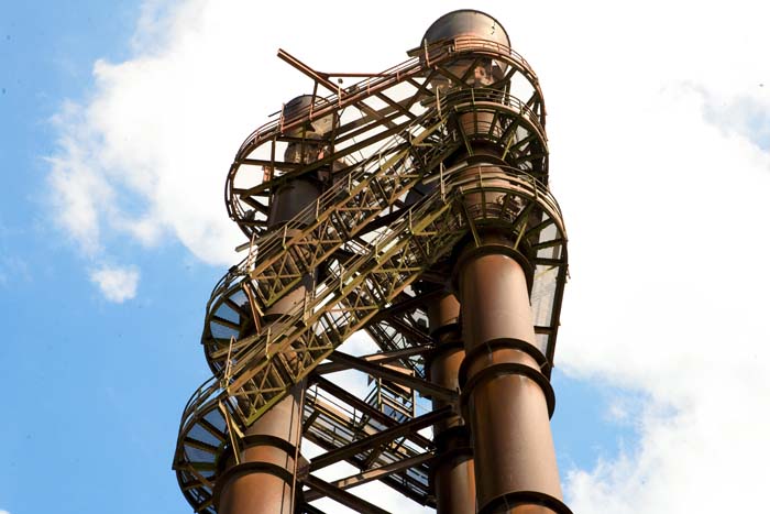 lsapsteinsel20070915016