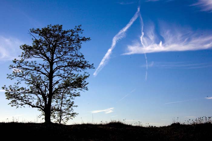 pointdevuefr20070400 (55)