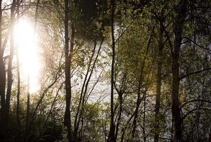 pointdevuefr20070400 (66)