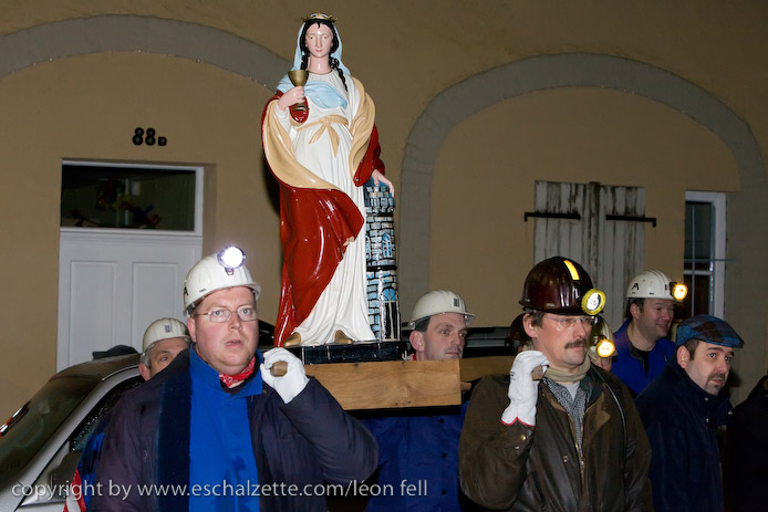 20081206stbarbedhoil001