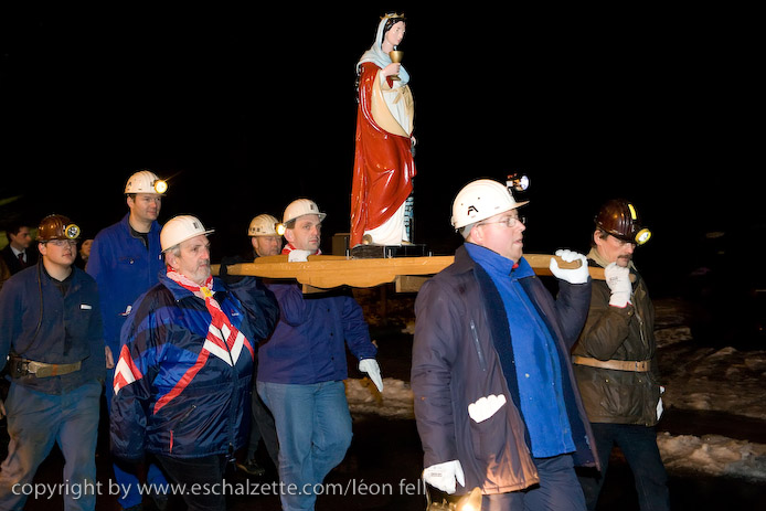 20081206stbarbedhoil008