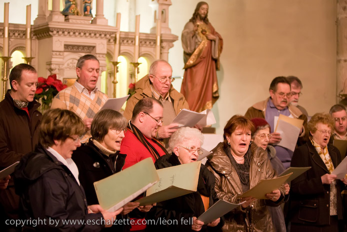 20081206stbarbedhoil018