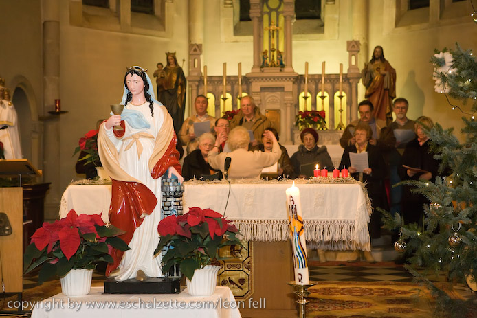 20081206stbarbedhoil022