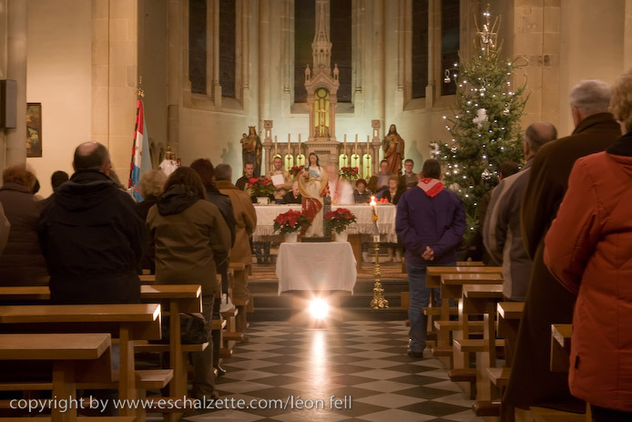 20081206stbarbedhoil024