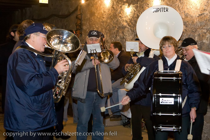 20081206stbarbedhoil031