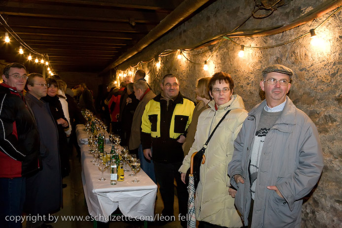 20081206stbarbedhoil032