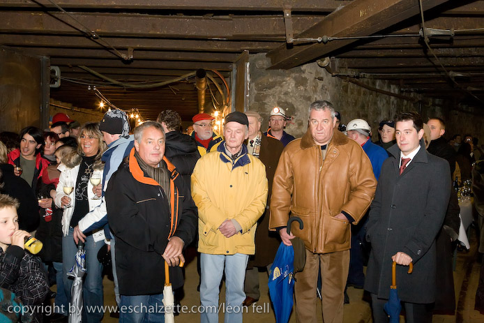 20081206stbarbedhoil035