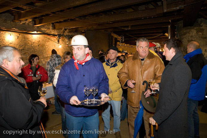 20081206stbarbedhoil038