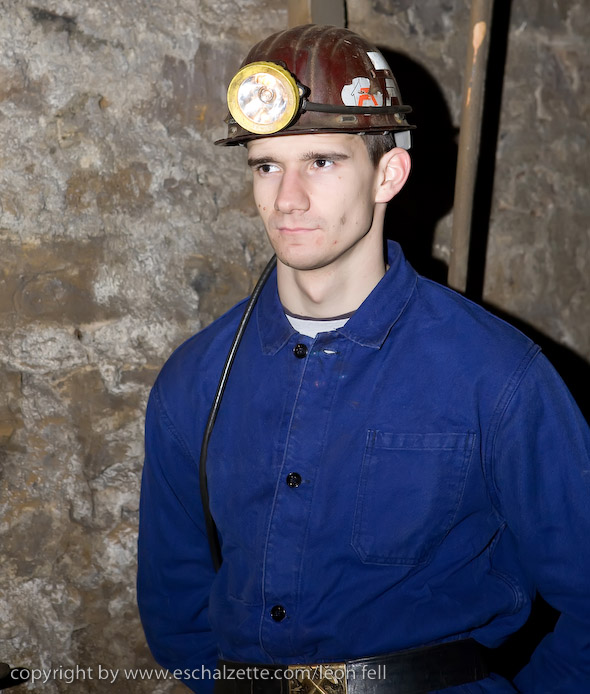 20081206stbarbedhoil045