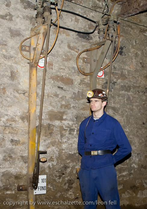 20081206stbarbedhoil046